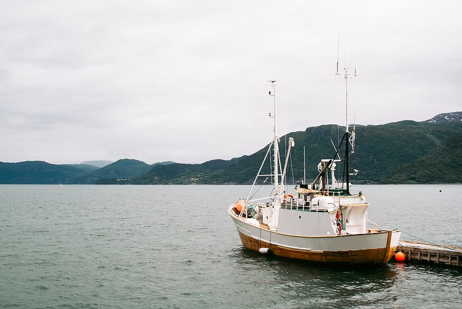 Fishing boat, Norway, industry, nautical Vessel, water, sea, nature HD wallpaper