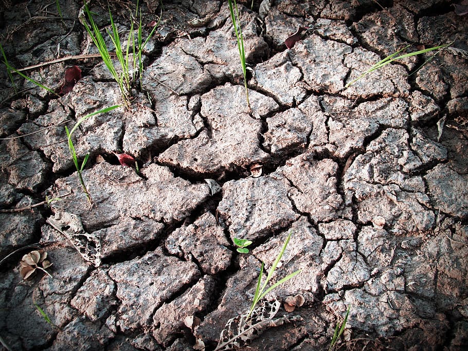 soil, rough, earth, split, crack, ecology, summer, broken, texture HD wallpaper