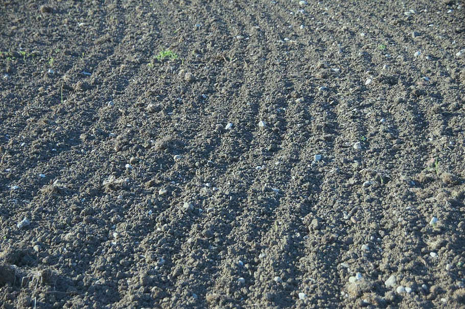 earth, traces, arable, field, ridge, plowed, full frame, high angle view HD wallpaper