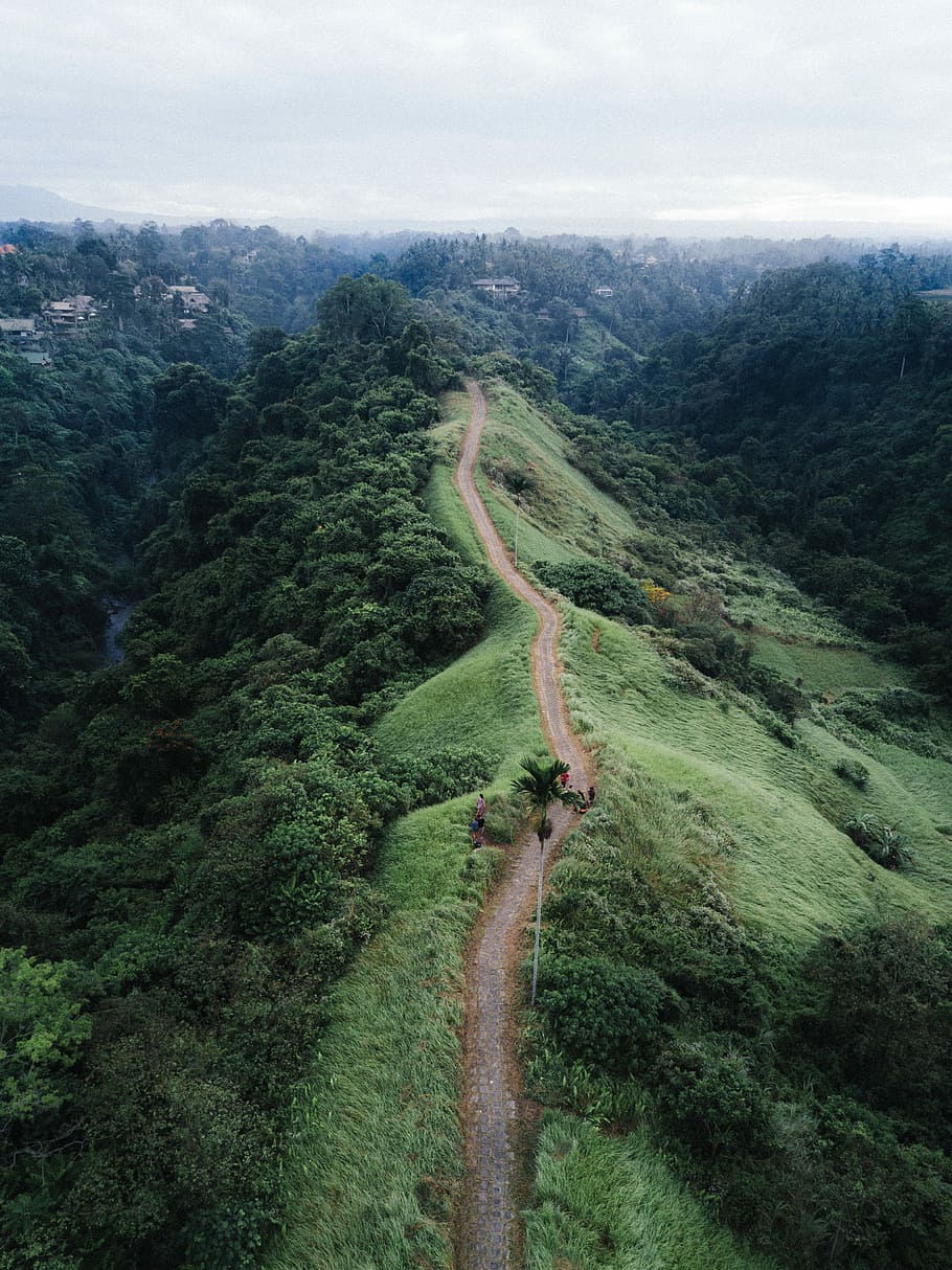 eagle-eye view photography of brown pathway, brown road on top of the hill HD wallpaper