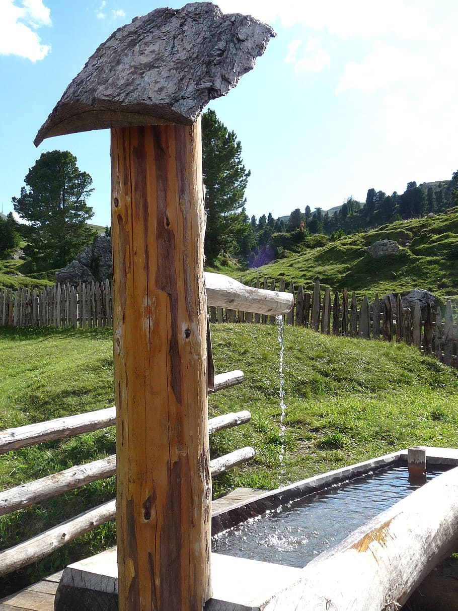 fountain, dolomites, alm, hut, plant, wood - material, tree HD wallpaper