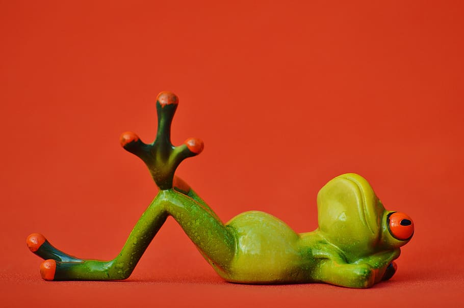 green tree frog, lying, relaxed, cute, rest, figure, funny HD wallpaper