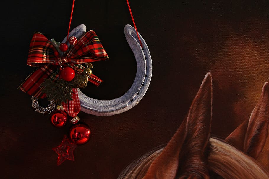 15 Easy Ideas What Do You Buy Equestrians for Christmas