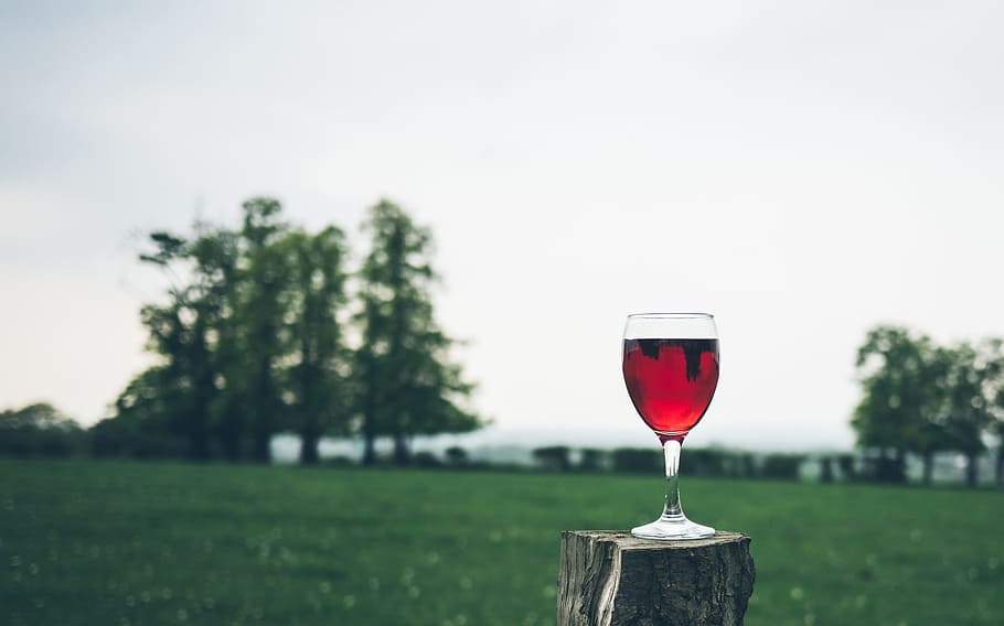 clear wine glass with red liquid, beverage, drinks, green, grass HD wallpaper
