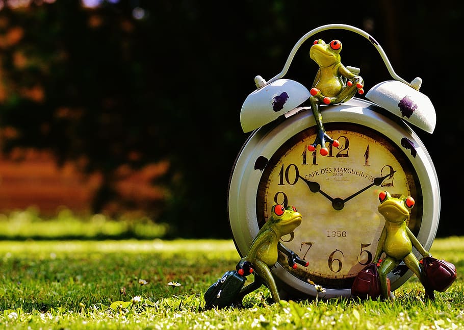 white double-bell clock, frogs, time to go, farewell, luggage