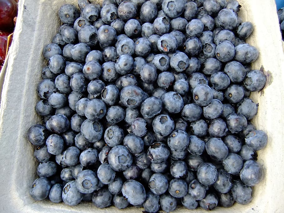 blueberries, fruit, eat, fresh, healthy, berry, organic, nutrition HD wallpaper