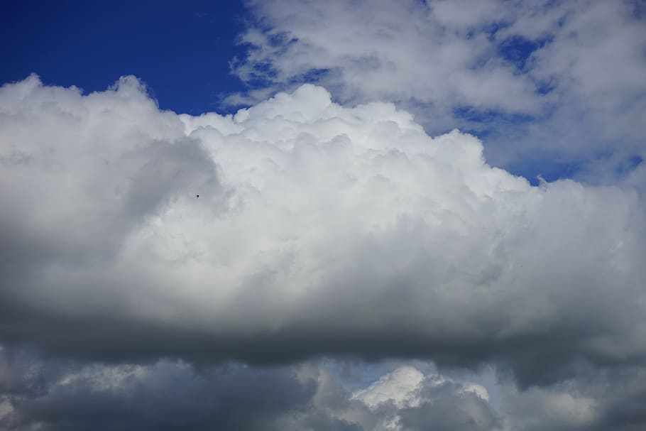 clouds, cloudiness, sky, white, blue, atmosphere, storm clouds HD wallpaper