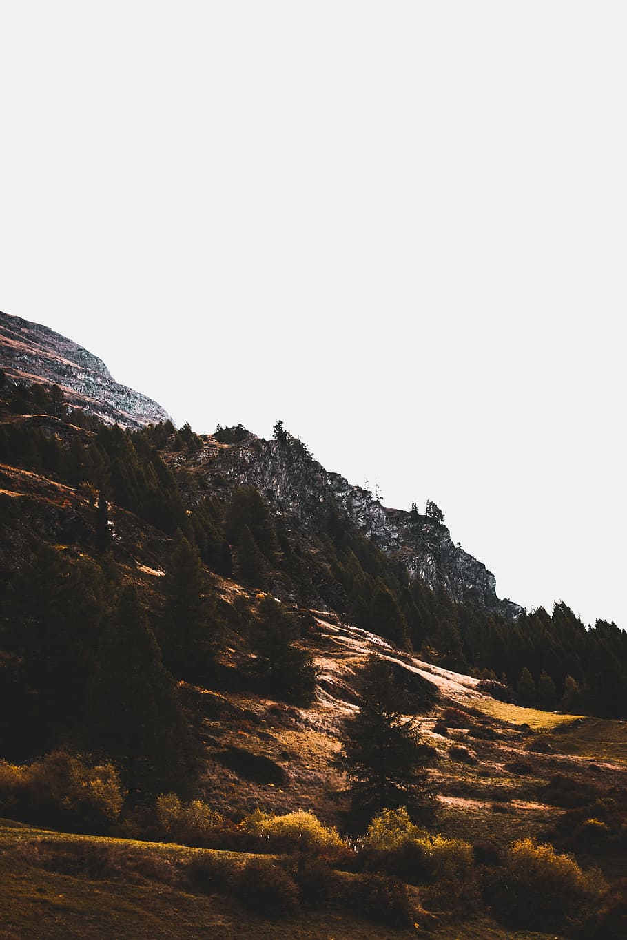 landmark photography of mountain, tree near snow capped mountain at daytime HD wallpaper