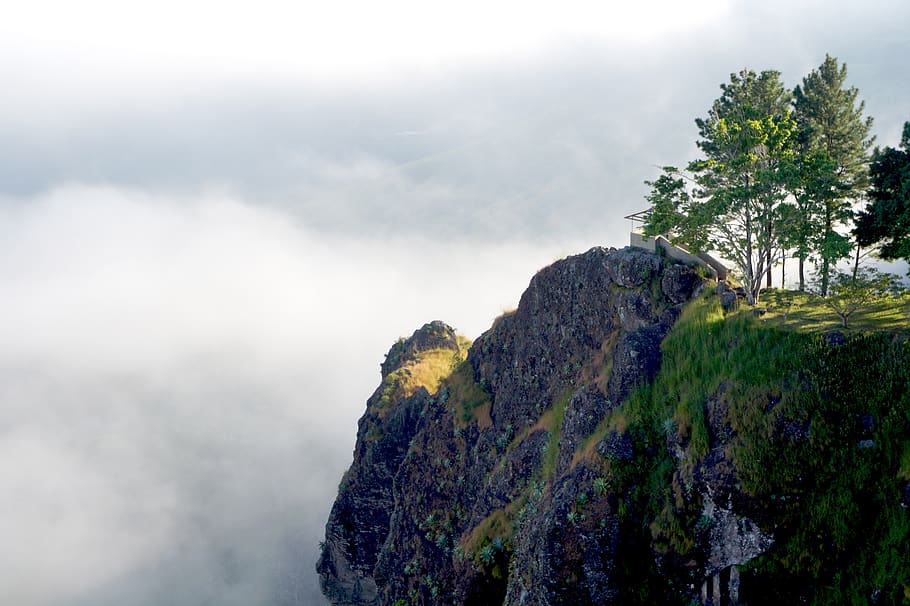 el salvador, pimp hill, fog, trees, pine, mountain, air, cloudy, HD wallpaper