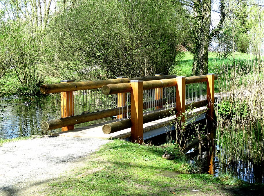 Bridge, Web, Wood, Pond, Nature, lake park, kreuzlingen, thurgau HD wallpaper