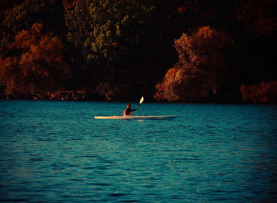 beach, boat, canoe, kayak, lake, ocean, outdoors, paddle, person HD wallpaper