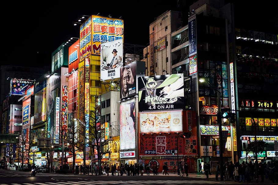 group of people in timesquare, akihabara, tokyo, night, japan, HD wallpaper