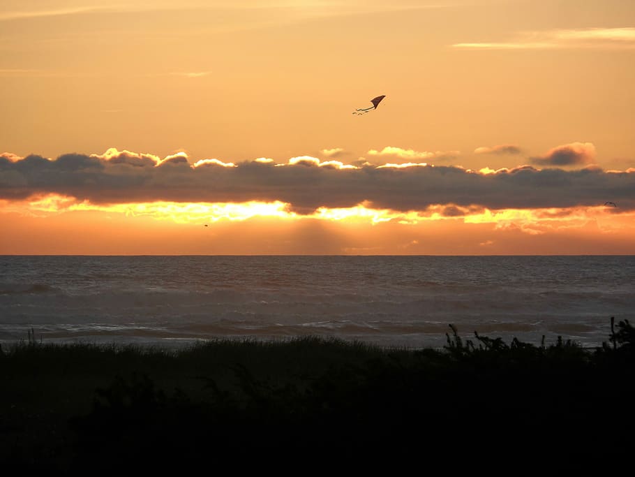 Kite, Sunset, Ocean, Sea, sky, silhouette, water, beach, nature HD wallpaper