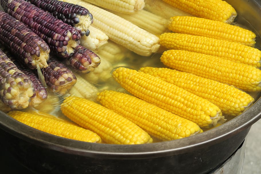 corn, corn cobs, food and drink, healthy eating, vegetable, HD wallpaper