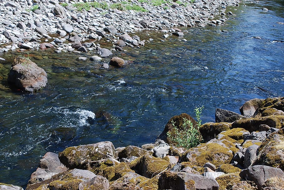 salmon river, mount hood, oregon, rock, water, solid, rock - object, HD wallpaper