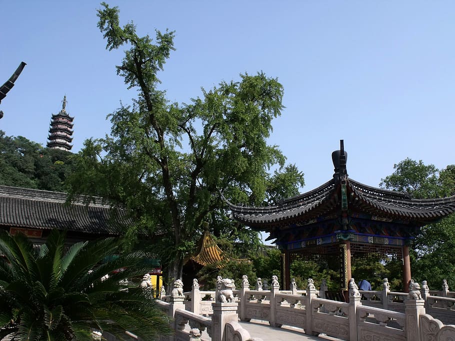 Temple, Buddha, Tower, Asia, buildin, religion, buddhism, travel HD wallpaper