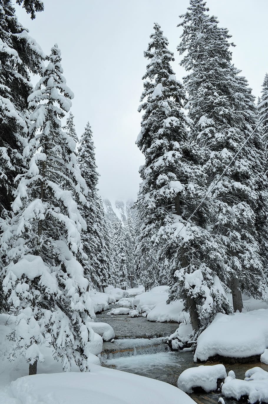 snow, alps, haute-savoie, winter landscape, mountain, ski, nature, HD wallpaper