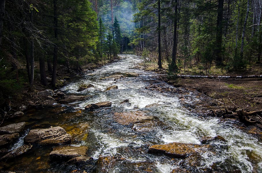 nature, landscape, water, river, lake, woods, forest, rock HD wallpaper