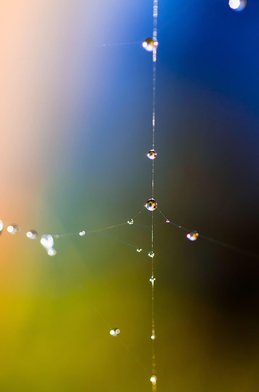 macro photography, close, water, drip, hookah, water drip, cobweb HD wallpaper