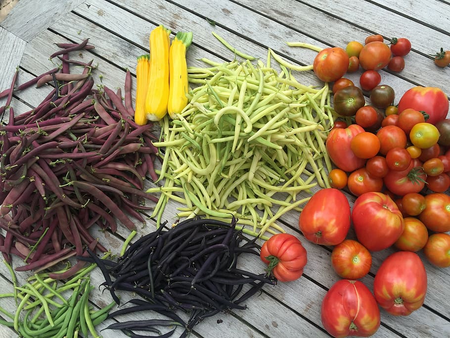 vegetables, from, garden, food and drink, healthy eating, freshness HD wallpaper