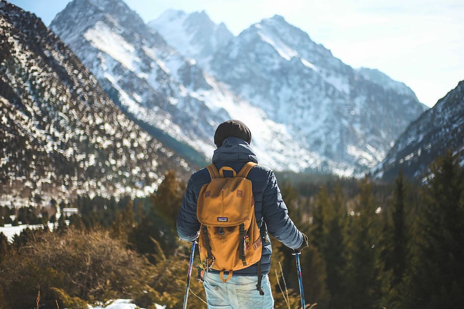 man holding pair of ski poles in front of trees, back view of man holding ski pole with snow-capped mountain at distance HD wallpaper