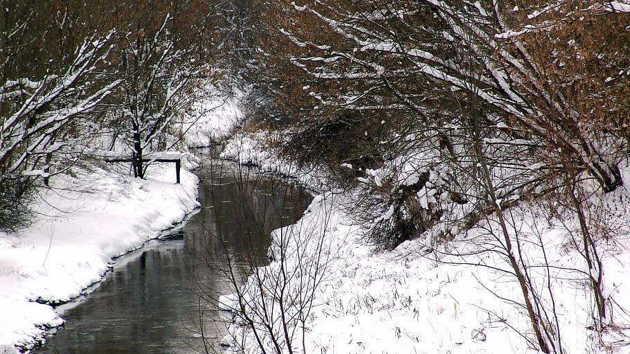 winter, river, nature, snowy, tree, cold - Temperature, ice HD wallpaper