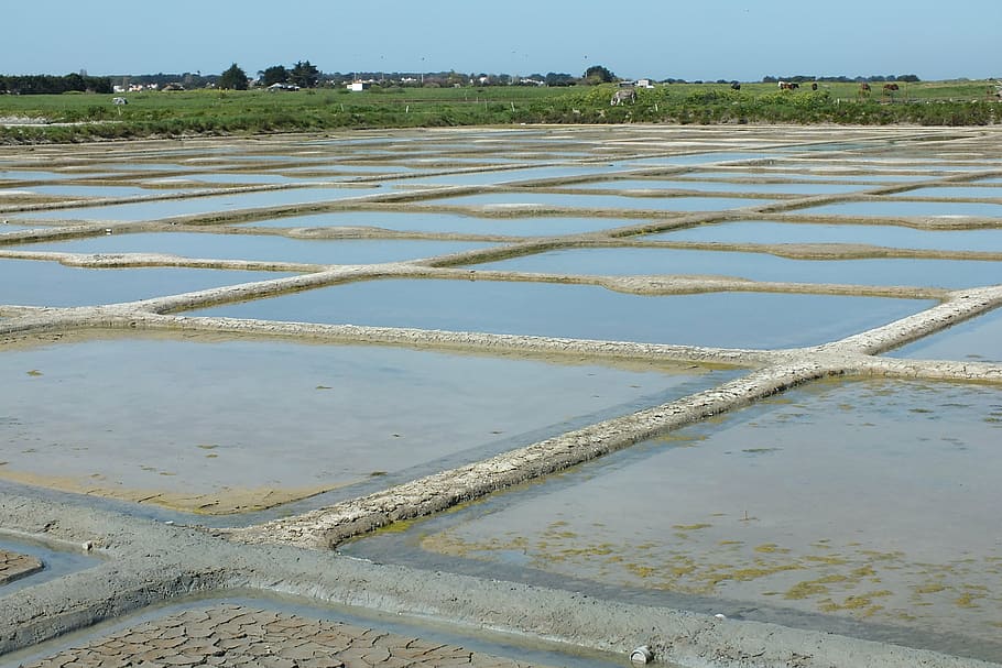 salt marshes, noirmoutier, water, day, land, salt flat, nature, HD wallpaper