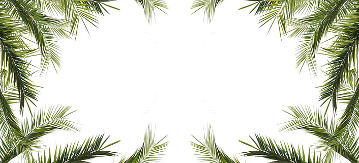 rectangular green leaf frame, desktop, tree, nature, decoration HD wallpaper