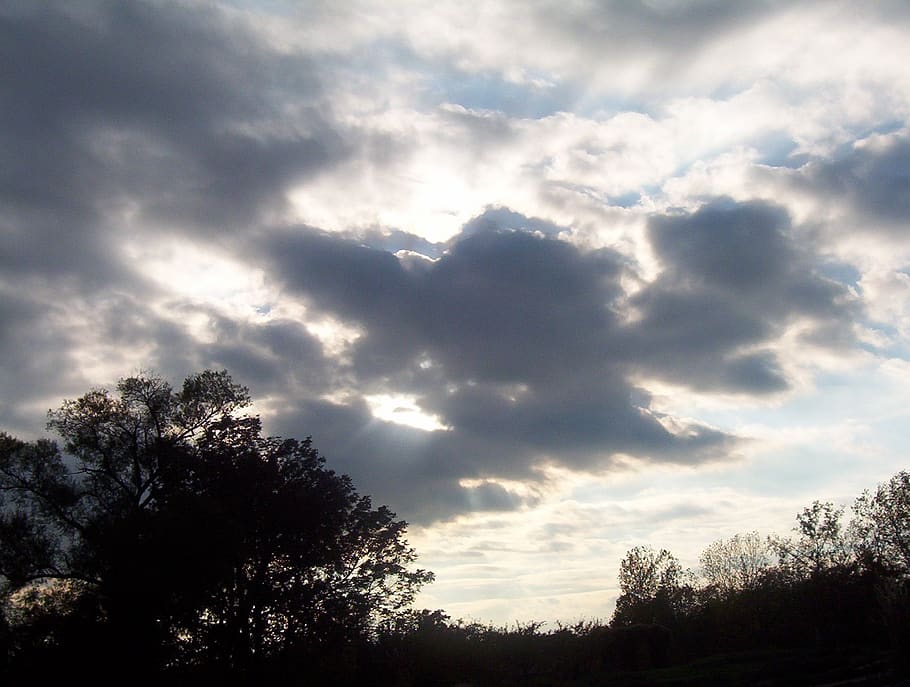 sky, clouds, dark, cloudy, trees, silhouette, black, branches HD wallpaper