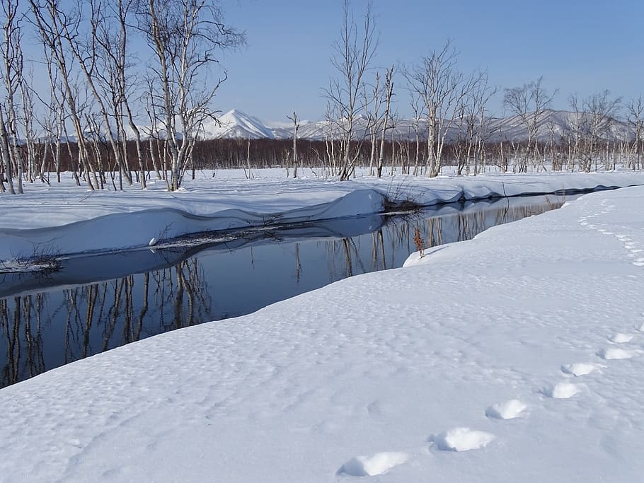 winter, river, mountains, forest, reflection, snow, leann, cold HD wallpaper