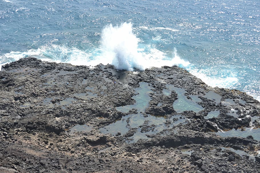 hawaii, ocean, rocks, waves, spray, surf, hawaiian, sea, water HD wallpaper