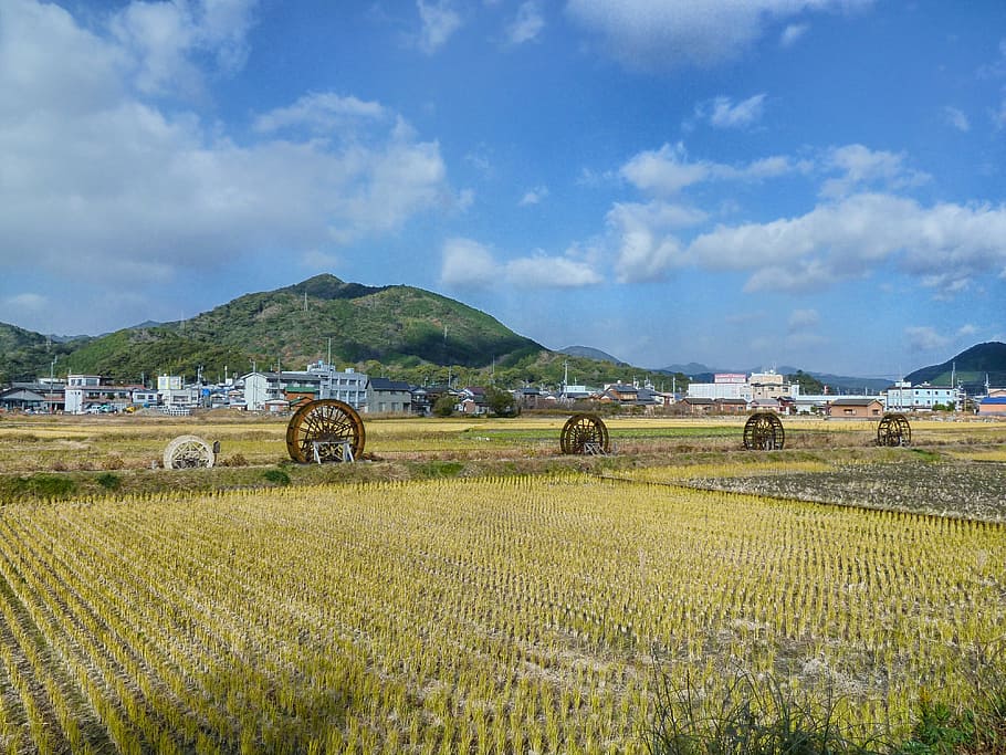 Japan, Landscape, Scenic, Farm, sukomo, rural, mountain, sky, HD wallpaper