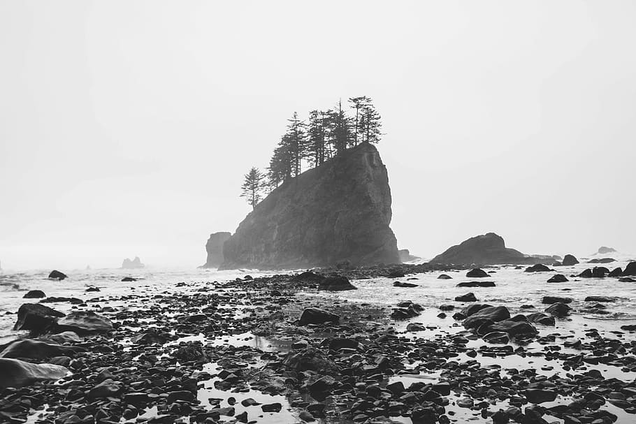 rock formation on body of water, grayscale photo of trees above island HD wallpaper