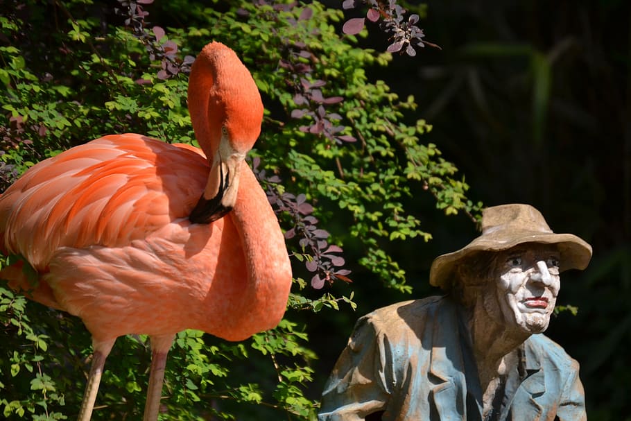 flamingo, statue, colorful, decorative, summer, bird, craft HD wallpaper