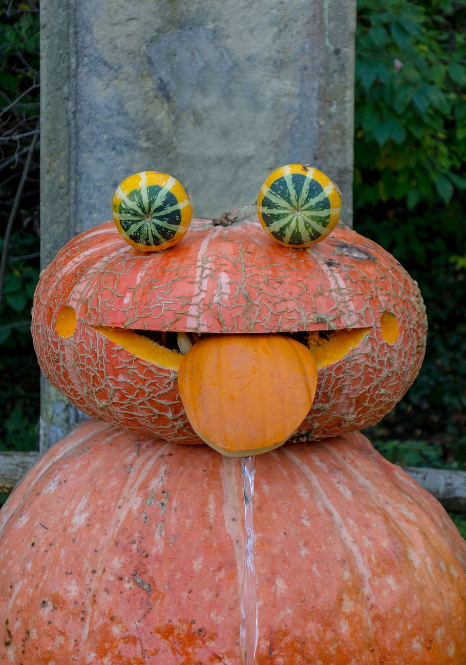 brown pumpkin frog decor, Face, autumn, october, funny, halloween