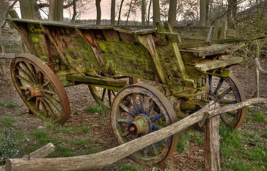 vintage green carriage in forest, cart, old, antique, hdr, farm HD wallpaper