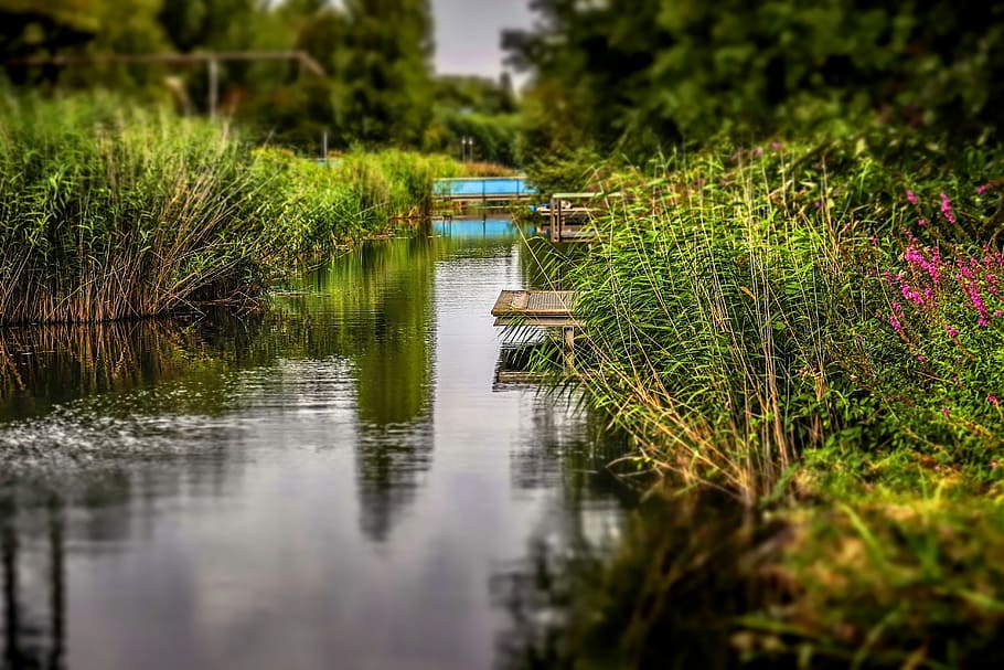 landscape photography of body of water between garden of floewrs HD wallpaper