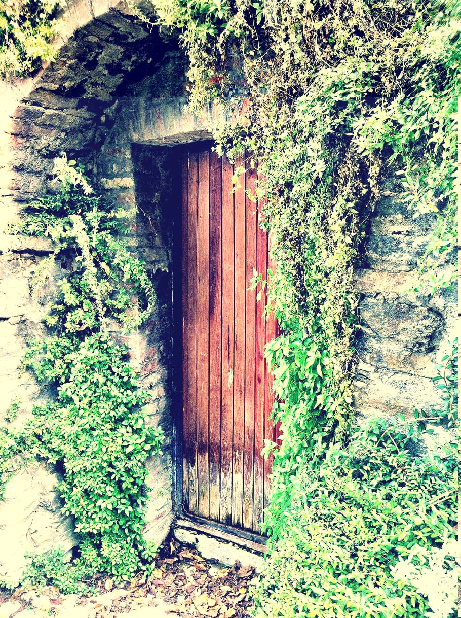door, italy, architecture, house, old, building, grunge, old-fashioned, HD wallpaper