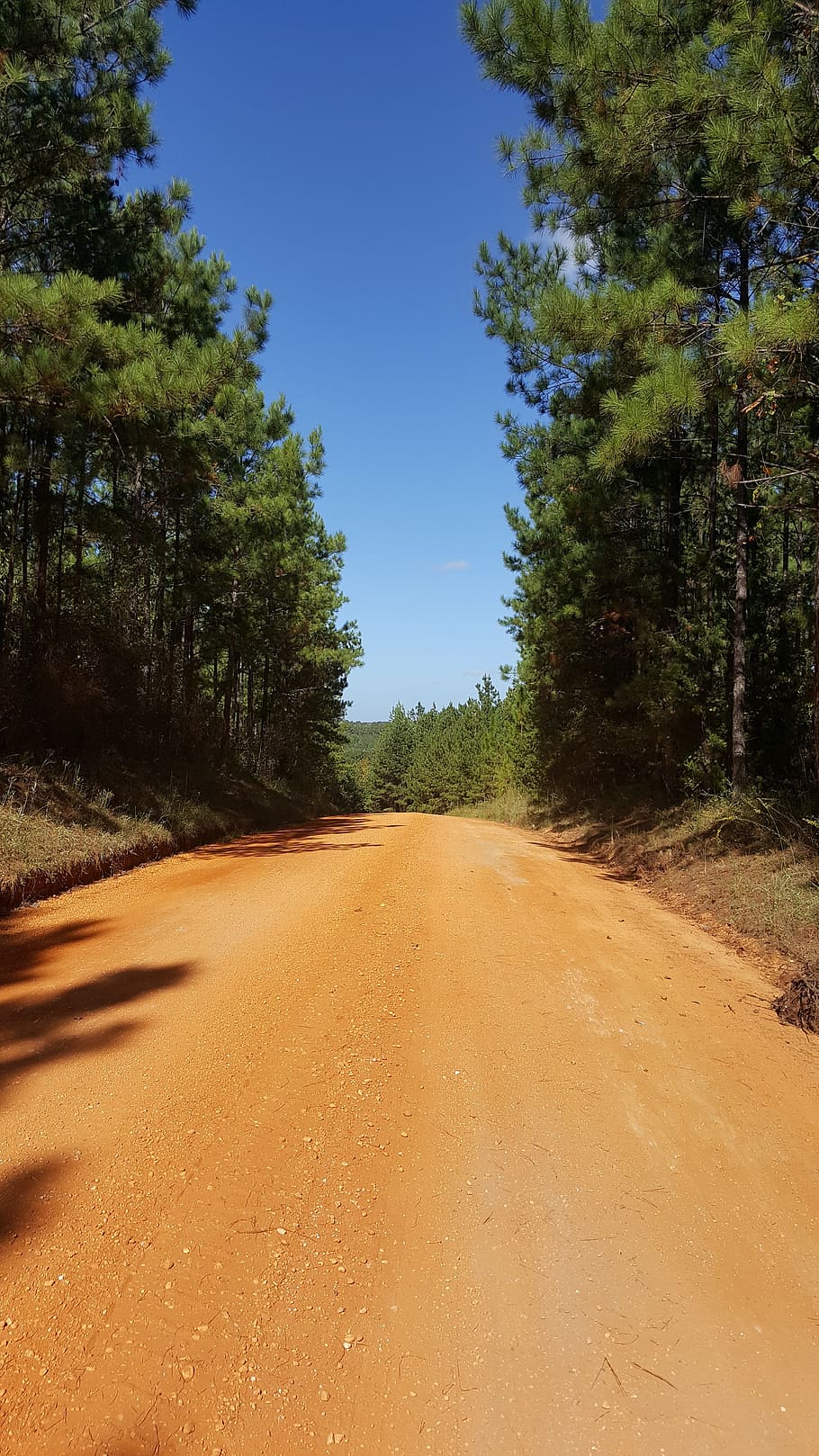 road, way, dirt, path, direction, journey, trip, future, dom HD wallpaper