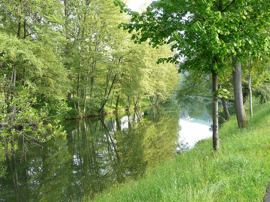 River, Idyll, Nagold, Valley, tree, water, reflection, nature HD wallpaper