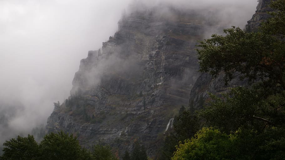 fogs, cold, trees, plant, nature, highland, mountain, landscape HD wallpaper