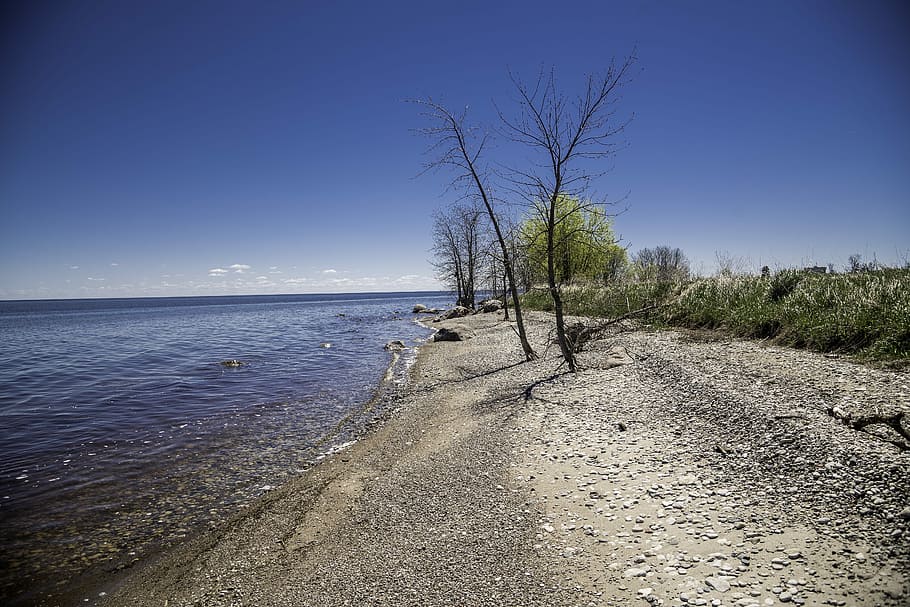 Shoreline of Lake Winnipeg at Hecla Provincial Park, canada, landscape