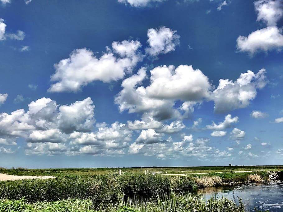sky, florida, landscape, summer, tropical, miami, south, grass HD wallpaper