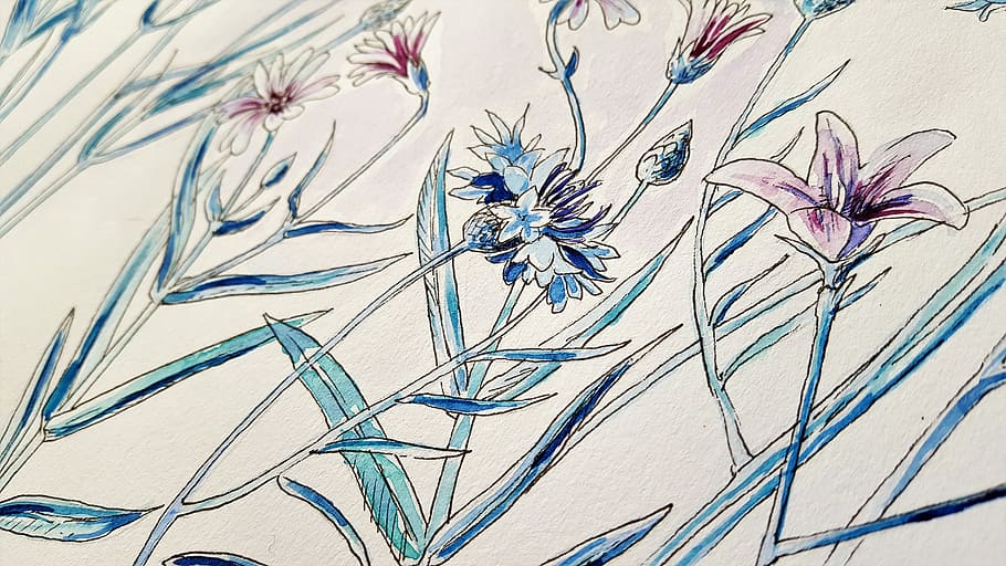 photo of blue and red flowers painting, art, perokresba, watercolor