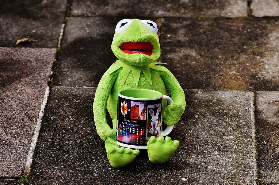 kermit, cup, drink coffee, coffee cup, funny, cute, break, coffee mugs HD wallpaper