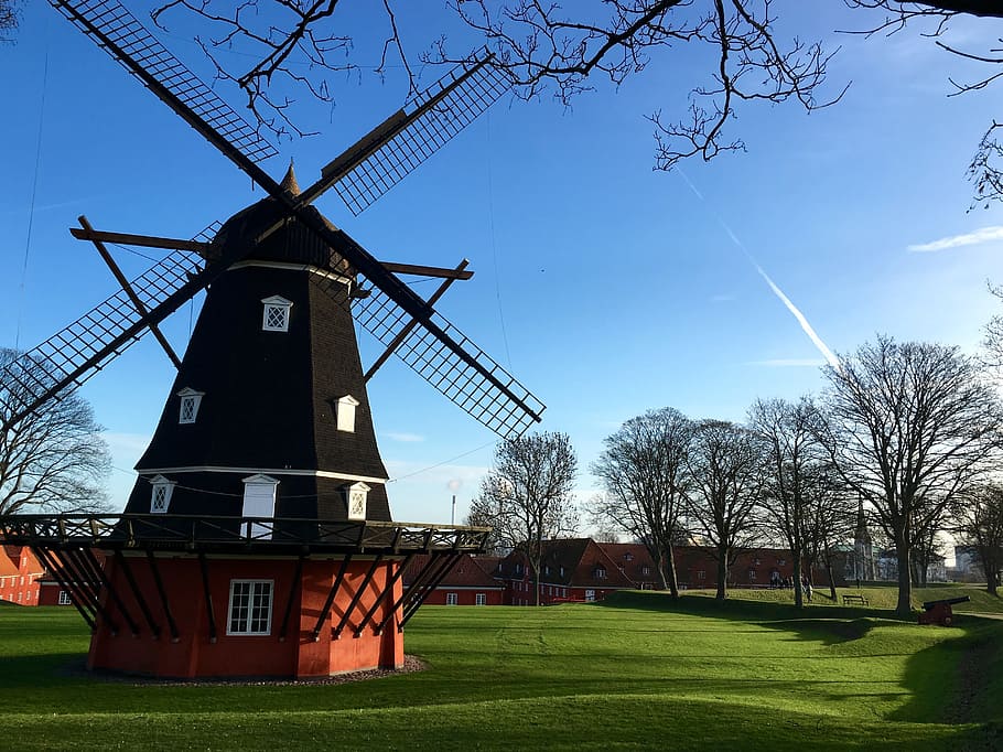 windmill, green, grass, tree, plant, field, house, building HD wallpaper