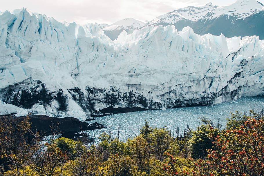 body of water between snow capped mountain and green trees, snow capped mountains beside body of water HD wallpaper