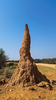termite hill, termites, ants, anthill, termitenbau, africa HD wallpaper