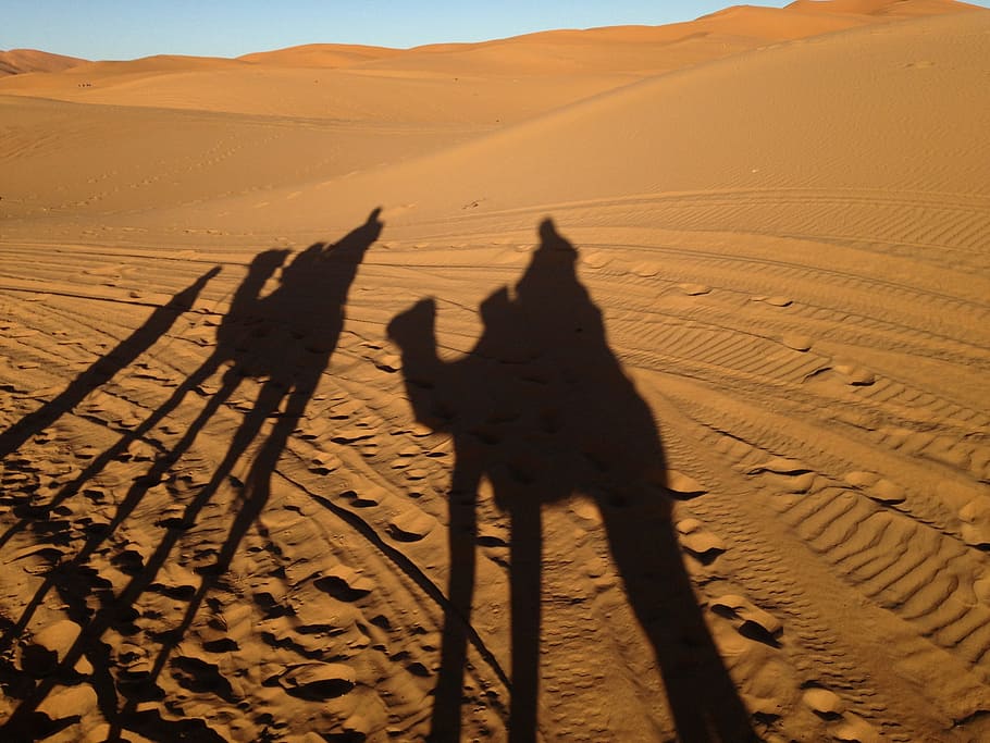 shadow of person riding camel, desert, morocco, sahara, darkness HD wallpaper