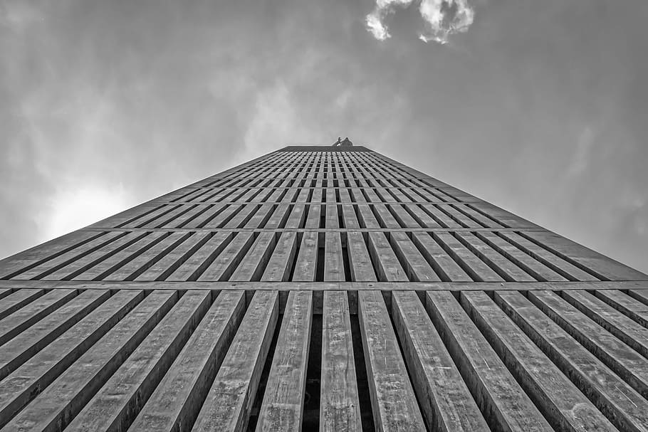 low angle photo of high rise building, facade, architecture HD wallpaper